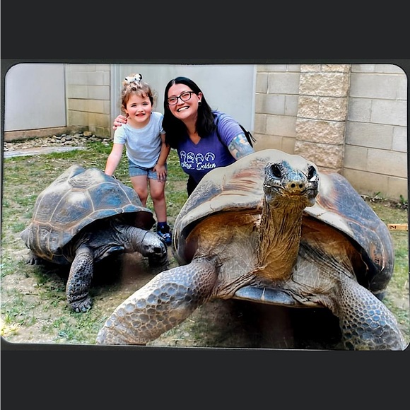 Meet your Posher, Rachel - Picture 2 of 4